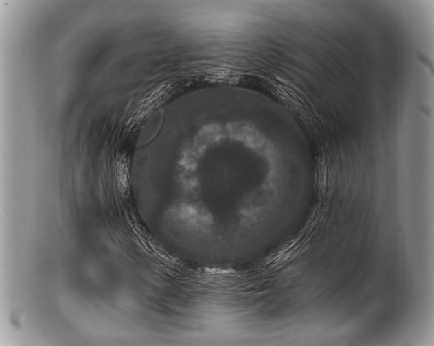X0000099501154200805151424
