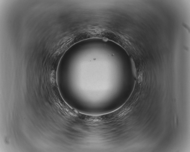 X0000099501156200805151424