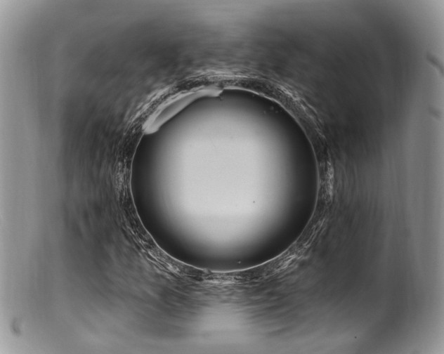X0000099501157200805151424
