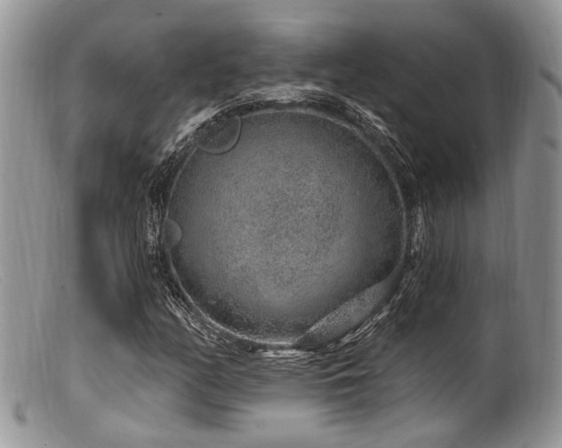 X0000099501158200805151424