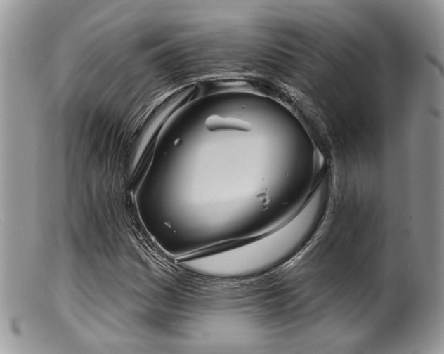 X0000099501161200805151424