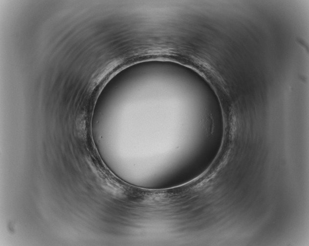 X0000099501162200805151424