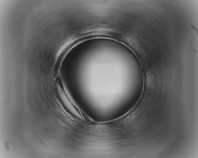 X0000099501164200805151424