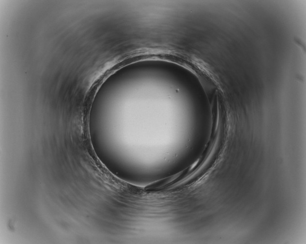 X0000099501165200805151424
