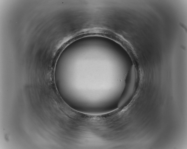 X0000099501166200805151424
