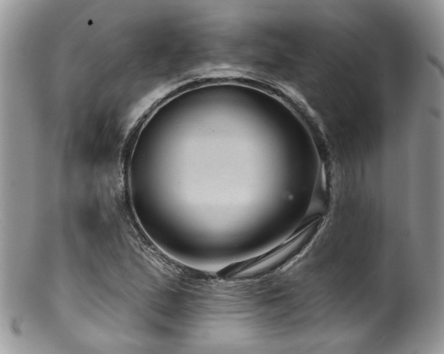 X0000099501167200805151424