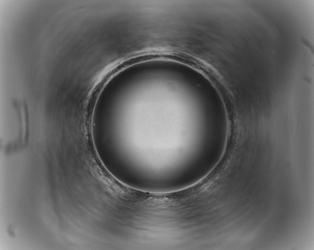 X0000099501168200805151424