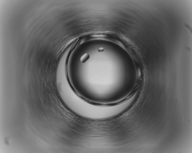 X0000099501169200805151424