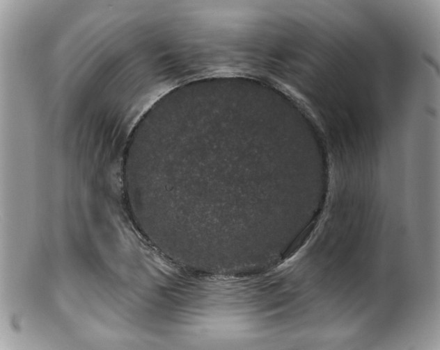 X0000099501170200805151424