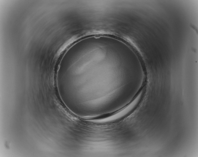 X0000099501173200805151424