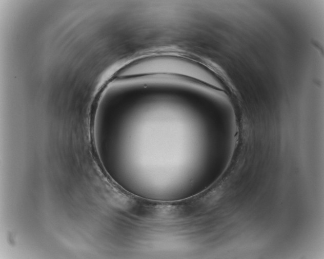 X0000099501176200805151424