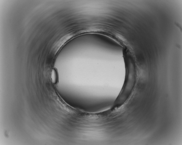 X0000099501177200805151424