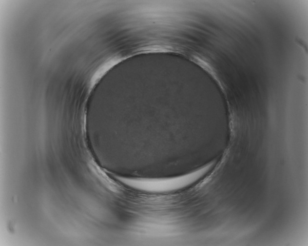 X0000099501179200805151424