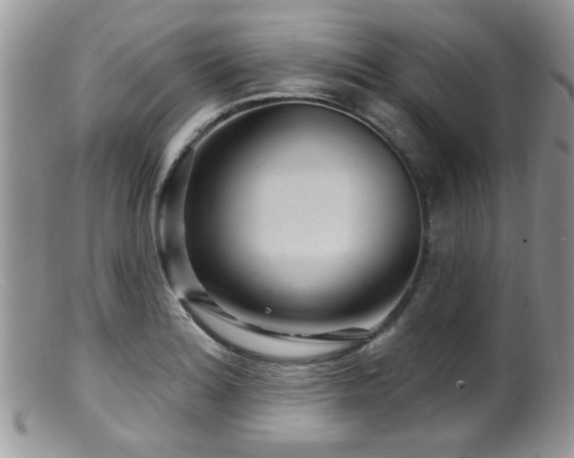 X0000099501180200805151424