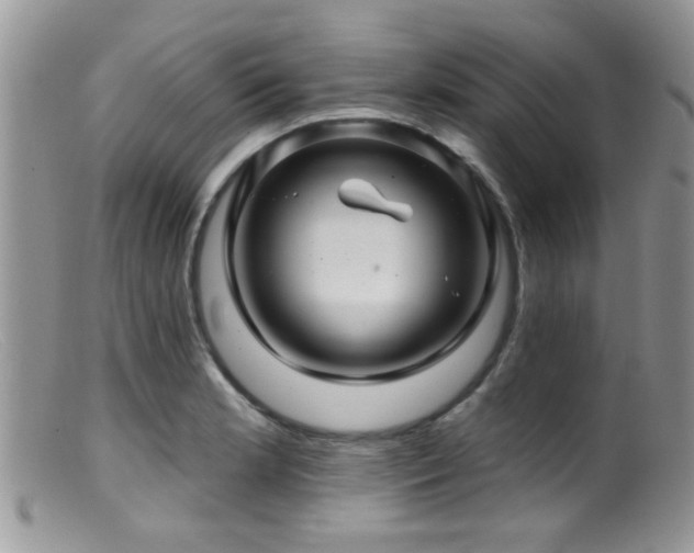 X0000099501181200805151423