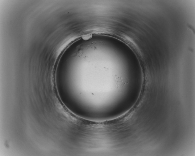 X0000099501182200805151423