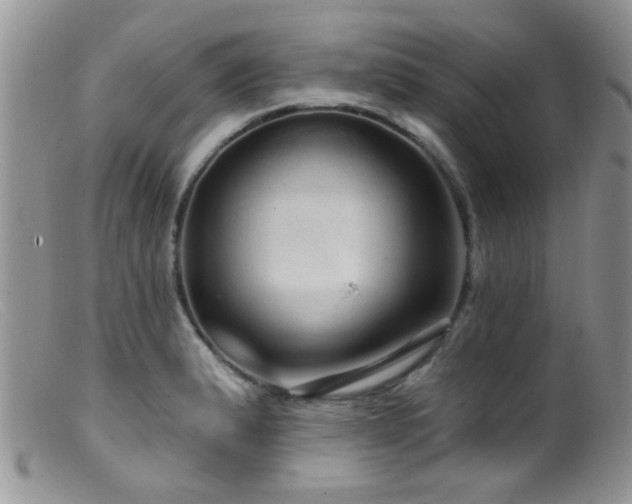 X0000099501183200805151423