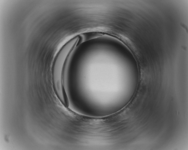 X0000099501184200805151423