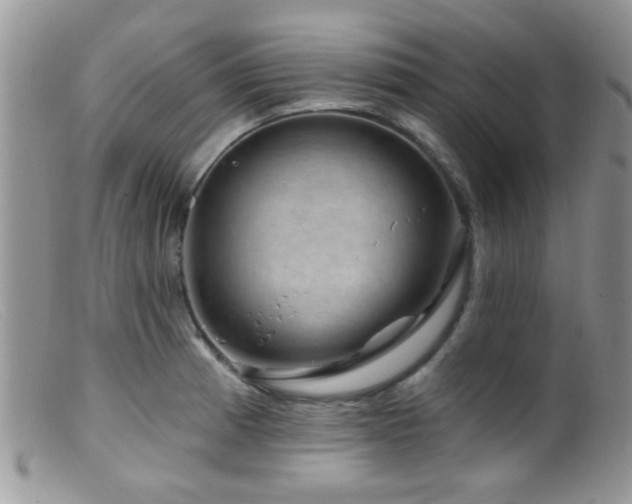 X0000099501185200805151423