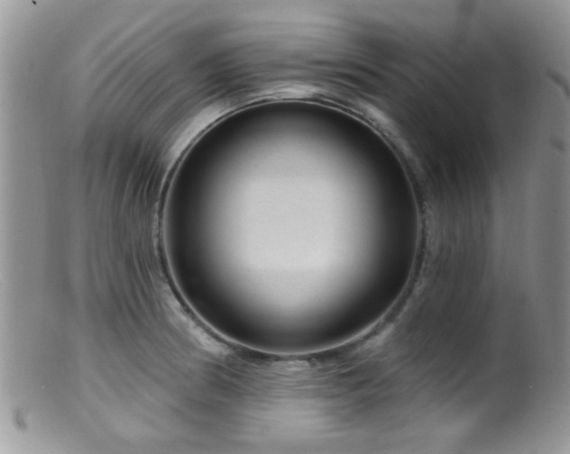 X0000099501186200805151423