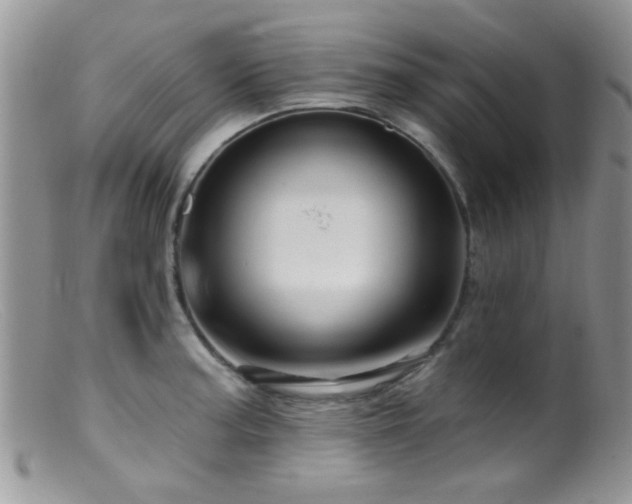 X0000099501187200805151423
