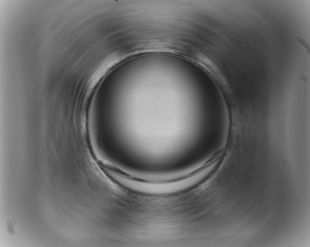 X0000099501188200805151423