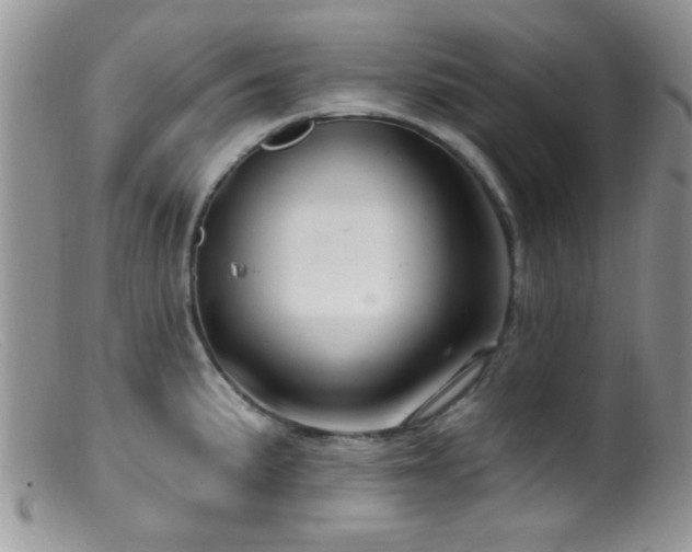 X0000099501191200805151423