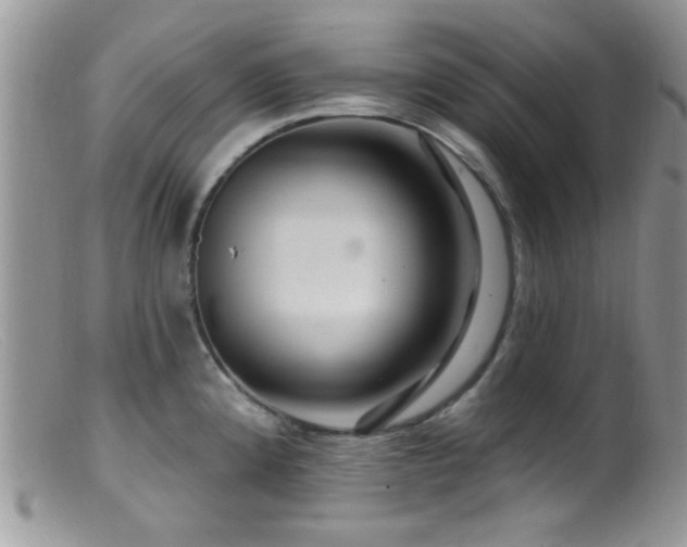 X0000099501192200805151423