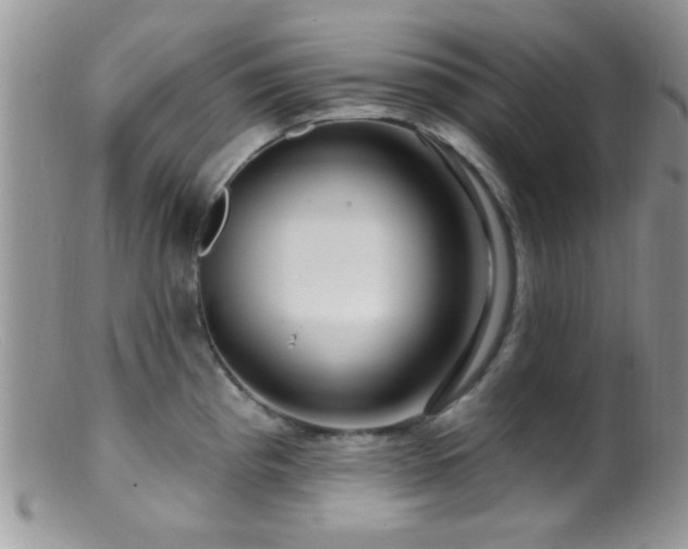 X0000099501193200805151423
