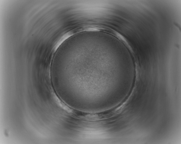 X0000099501194200805151423