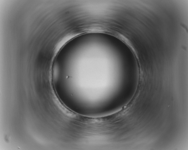 X0000099501195200805151423