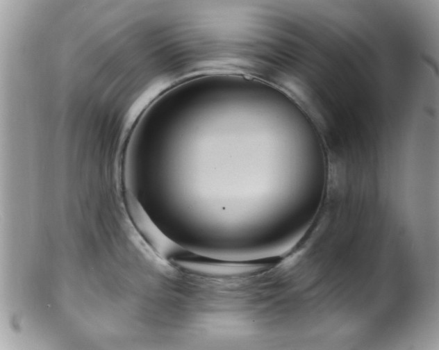 X0000099501196200805151423