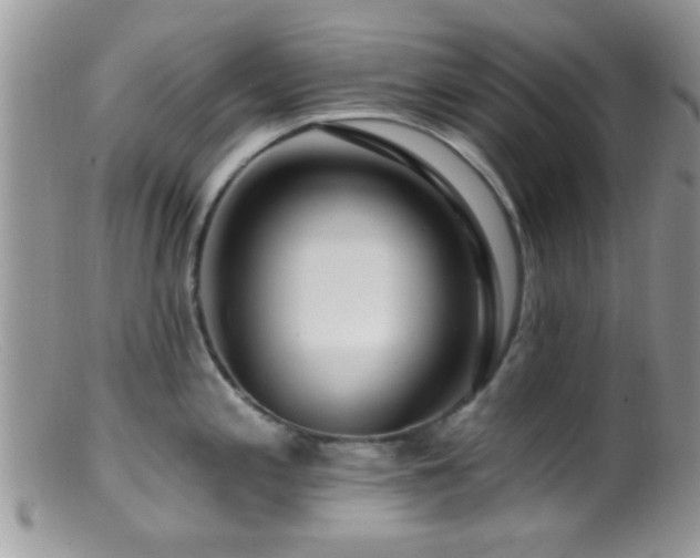 X0000099501197200805151423