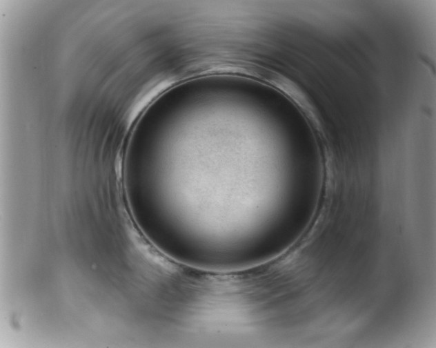 X0000099501198200805151423