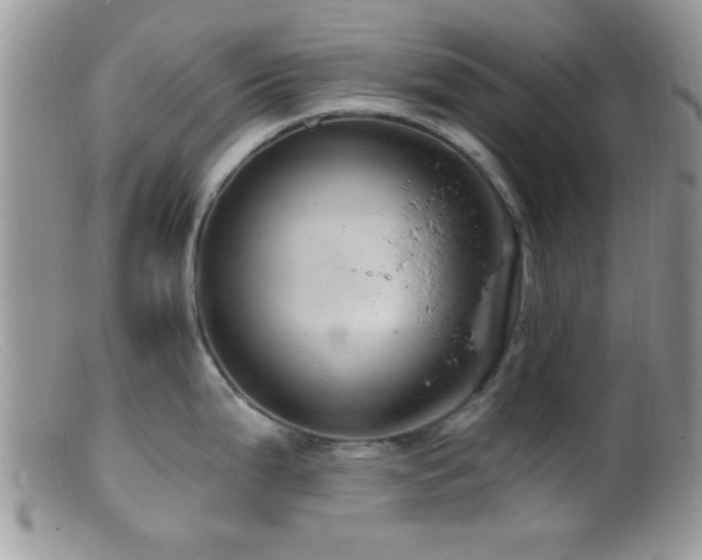 X0000099501199200805151423