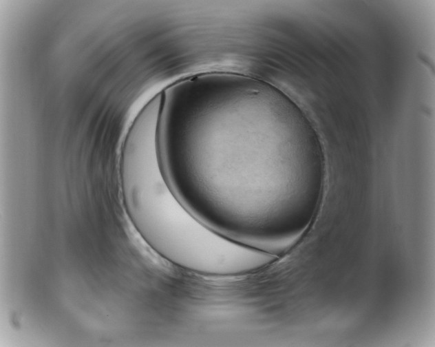 X0000099501200200805151423