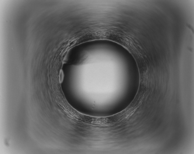 X0000099501201200805151422