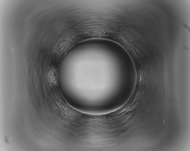X0000099501202200805151423