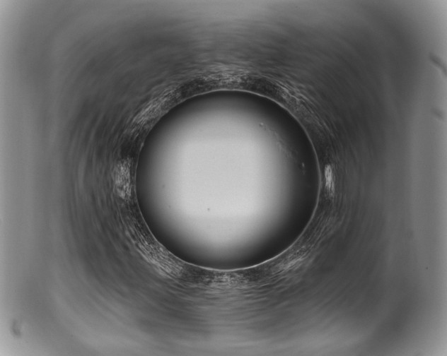X0000099501203200805151423