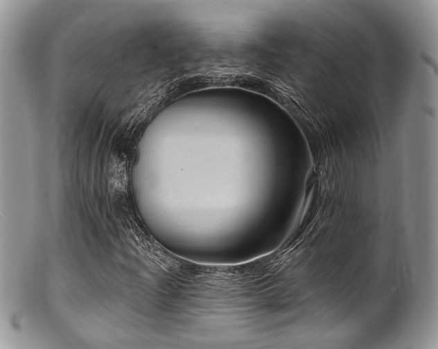 X0000099501204200805151423