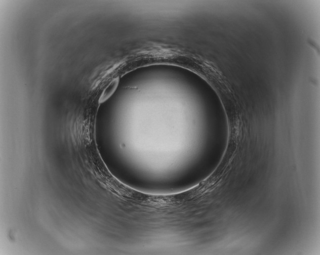 X0000099501205200805151423