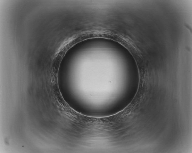 X0000099501207200805151423