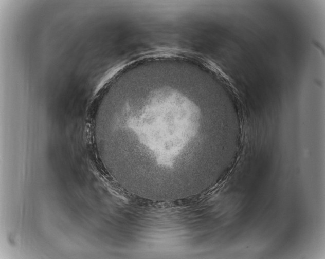 X0000099501208200805151423