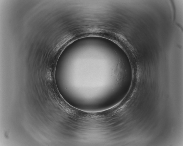 X0000099501209200805151423