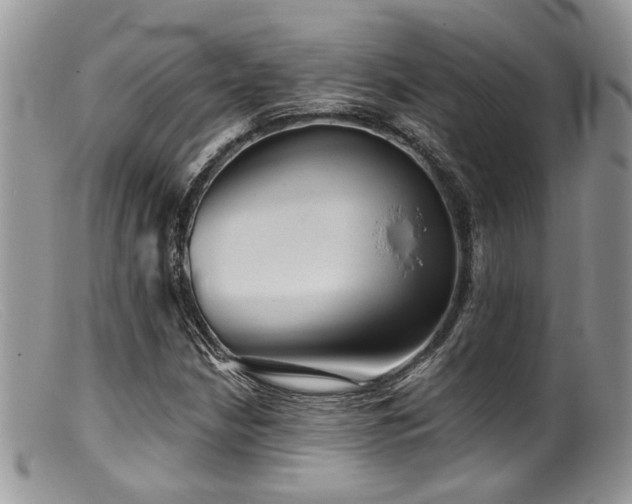 X0000099501210200805151423
