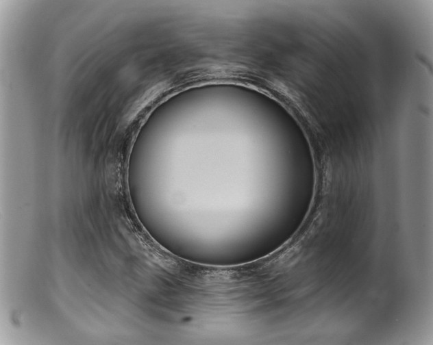 X0000099501211200805151423