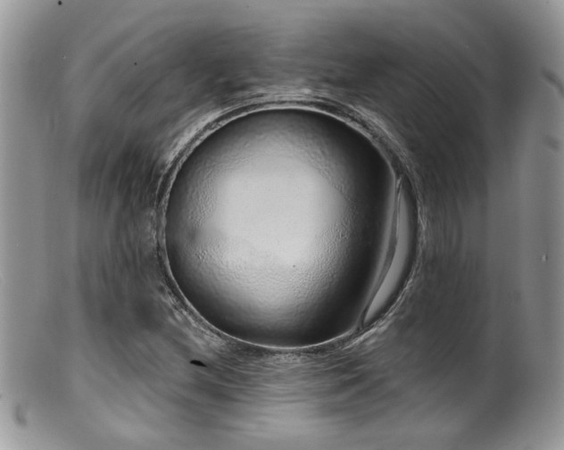 X0000099501212200805151423