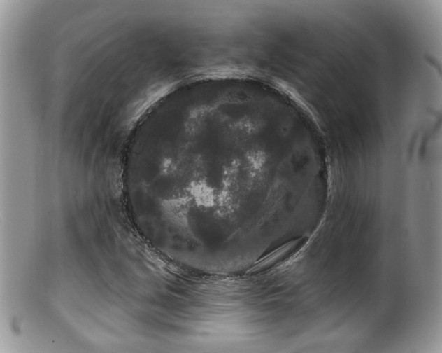 X0000099501213200805151423