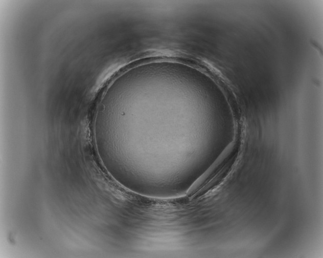 X0000099501215200805151423