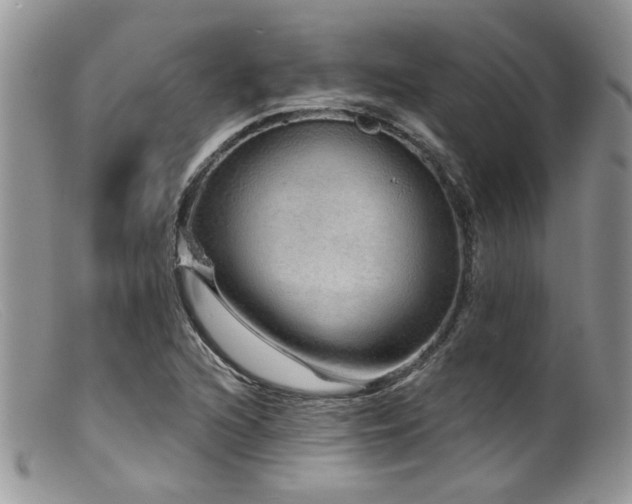 X0000099501216200805151423